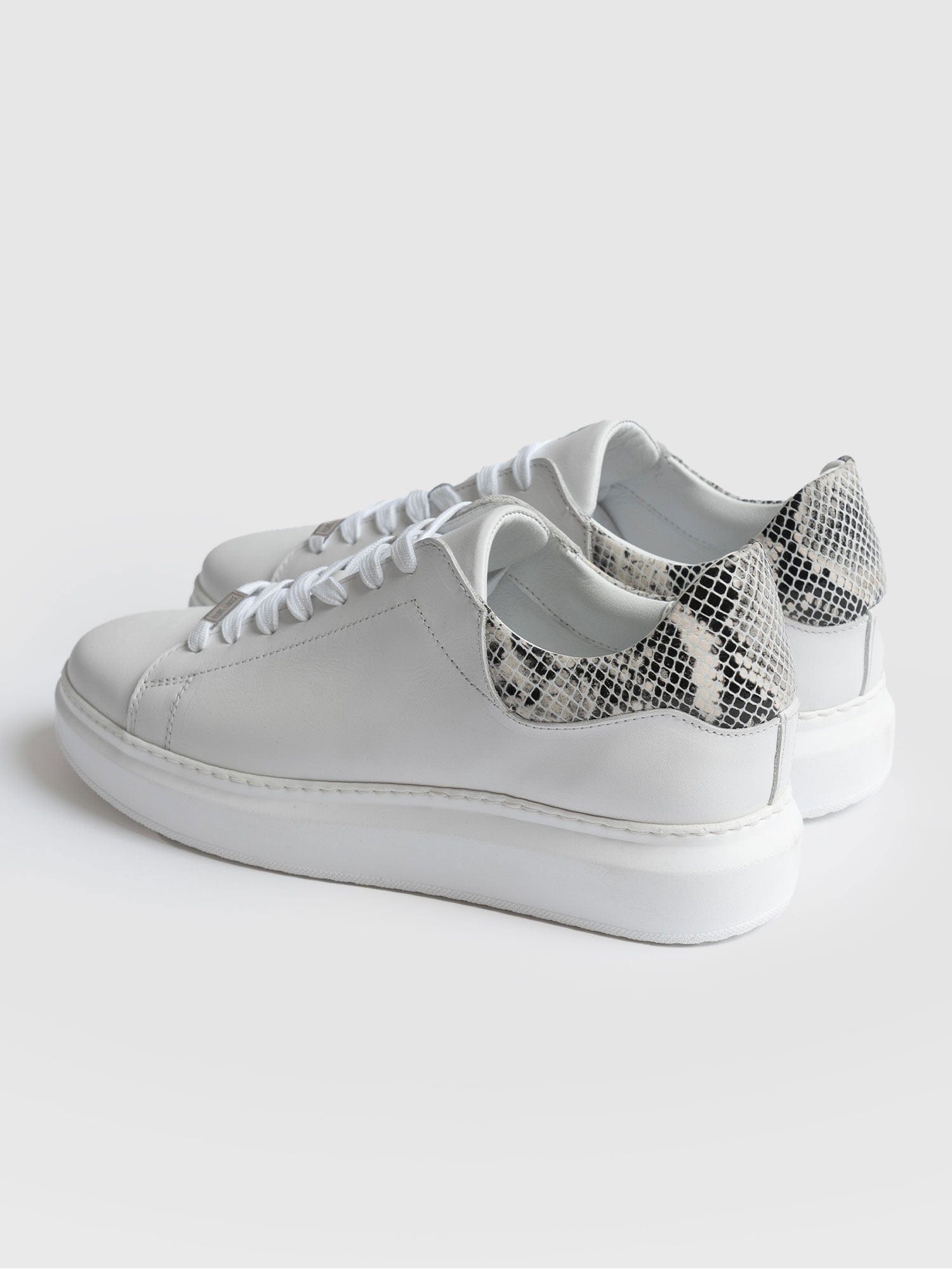 Hampstead Trainer - Snake